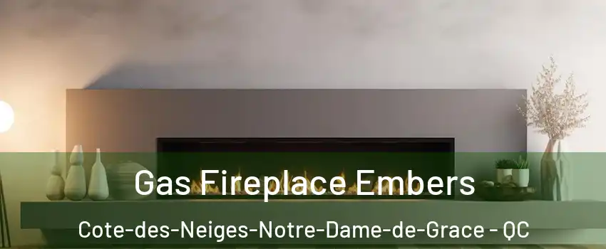 Gas Fireplace Embers Cote-des-Neiges-Notre-Dame-de-Grace - QC
