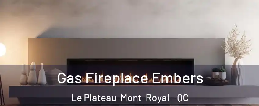  Gas Fireplace Embers Le Plateau-Mont-Royal - QC