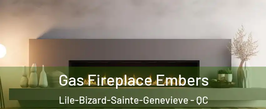 Gas Fireplace Embers Lile-Bizard-Sainte-Genevieve - QC