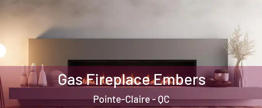  Gas Fireplace Embers Pointe-Claire - QC
