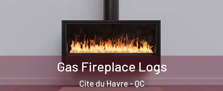  Gas Fireplace Logs Cite du Havre - QC