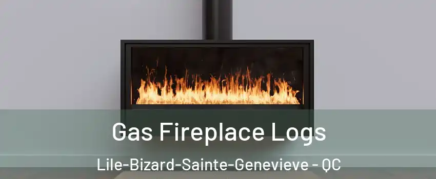  Gas Fireplace Logs Lile-Bizard-Sainte-Genevieve - QC