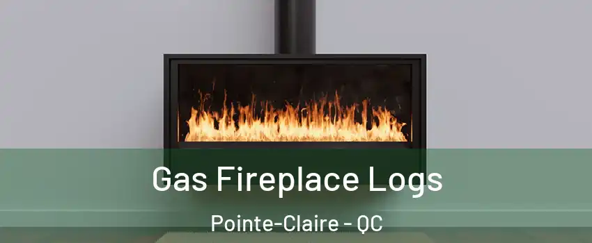  Gas Fireplace Logs Pointe-Claire - QC