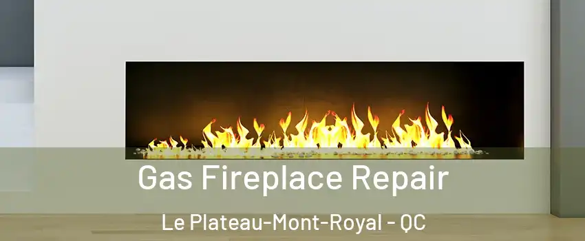  Gas Fireplace Repair Le Plateau-Mont-Royal - QC