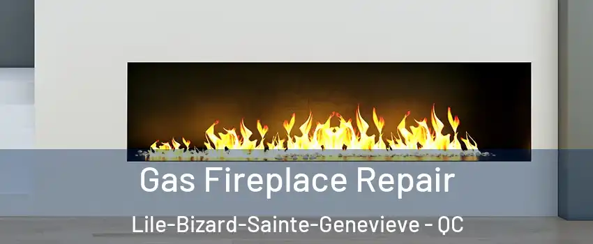  Gas Fireplace Repair Lile-Bizard-Sainte-Genevieve - QC