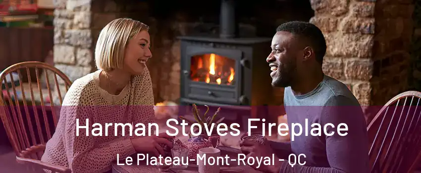  Harman Stoves Fireplace Le Plateau-Mont-Royal - QC