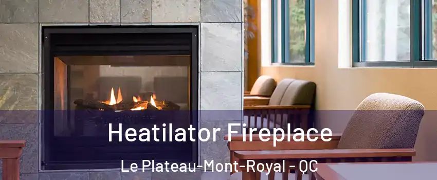  Heatilator Fireplace Le Plateau-Mont-Royal - QC
