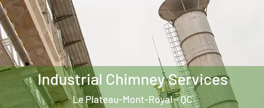  Industrial Chimney Services Le Plateau-Mont-Royal - QC