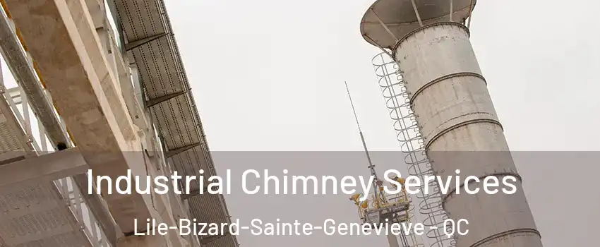  Industrial Chimney Services Lile-Bizard-Sainte-Genevieve - QC