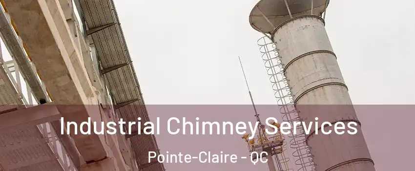  Industrial Chimney Services Pointe-Claire - QC