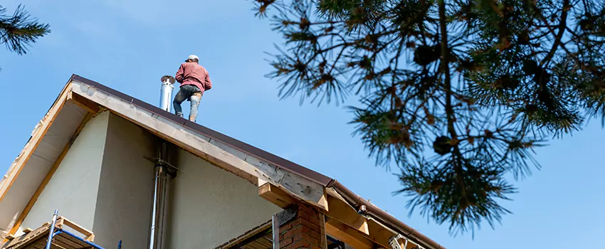 Birds Removal Contractors from Chimney in Montreal, QC