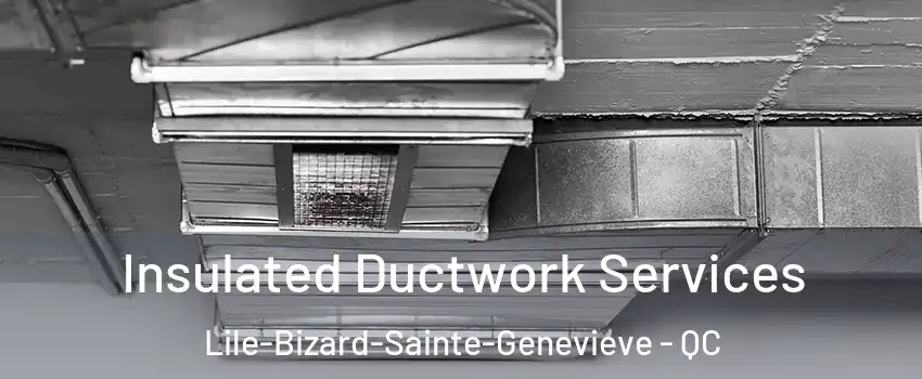  Insulated Ductwork Services Lile-Bizard-Sainte-Genevieve - QC