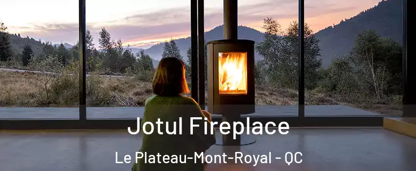  Jotul Fireplace Le Plateau-Mont-Royal - QC