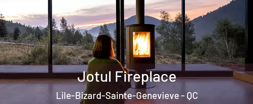  Jotul Fireplace Lile-Bizard-Sainte-Genevieve - QC