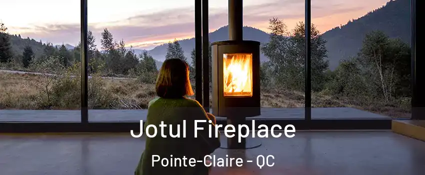  Jotul Fireplace Pointe-Claire - QC