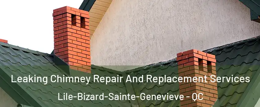  Leaking Chimney Repair And Replacement Services Lile-Bizard-Sainte-Genevieve - QC