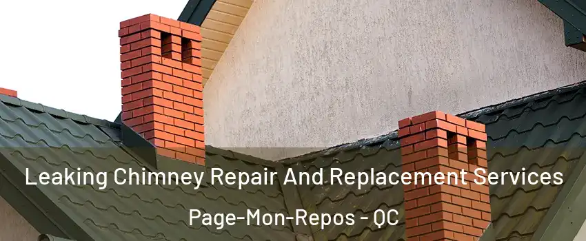  Leaking Chimney Repair And Replacement Services Page-Mon-Repos - QC