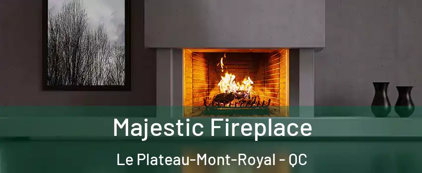  Majestic Fireplace Le Plateau-Mont-Royal - QC