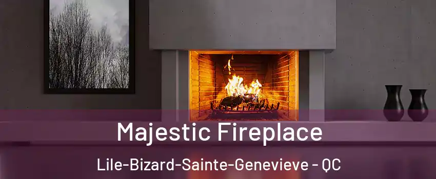  Majestic Fireplace Lile-Bizard-Sainte-Genevieve - QC
