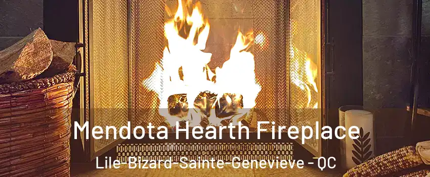  Mendota Hearth Fireplace Lile-Bizard-Sainte-Genevieve - QC
