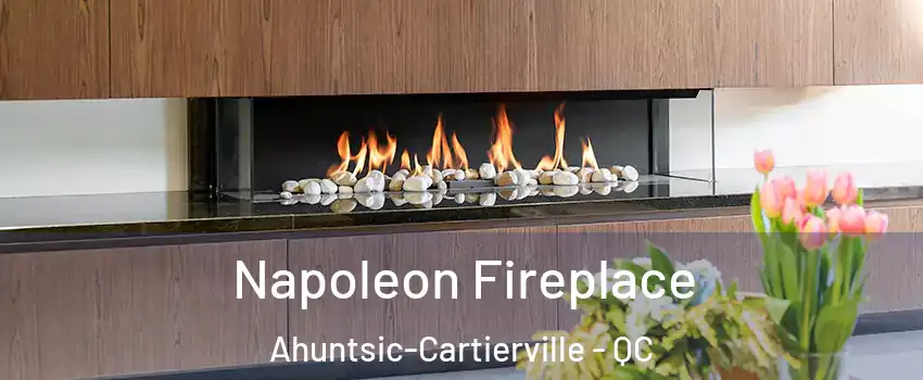  Napoleon Fireplace Ahuntsic-Cartierville - QC