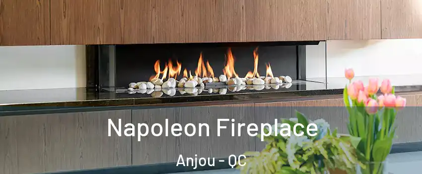  Napoleon Fireplace Anjou - QC