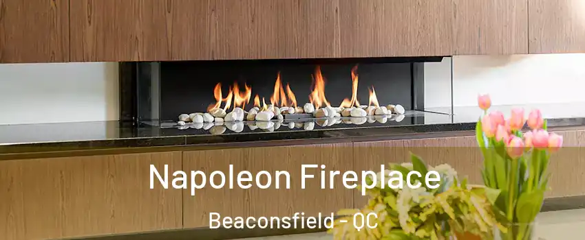  Napoleon Fireplace Beaconsfield - QC