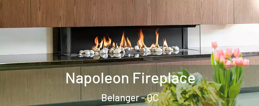  Napoleon Fireplace Belanger - QC