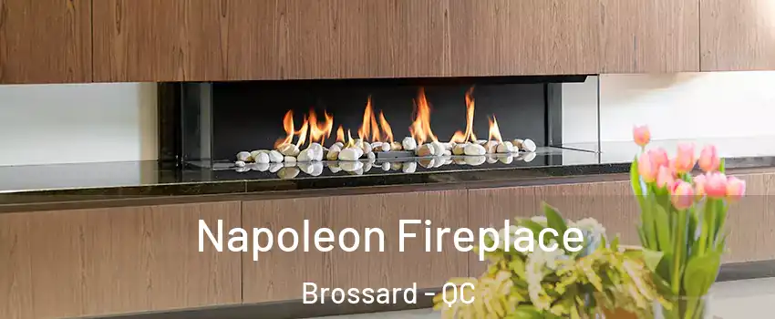  Napoleon Fireplace Brossard - QC