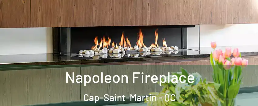 Napoleon Fireplace Cap-Saint-Martin - QC