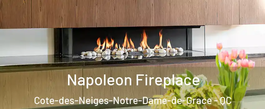  Napoleon Fireplace Cote-des-Neiges-Notre-Dame-de-Grace - QC