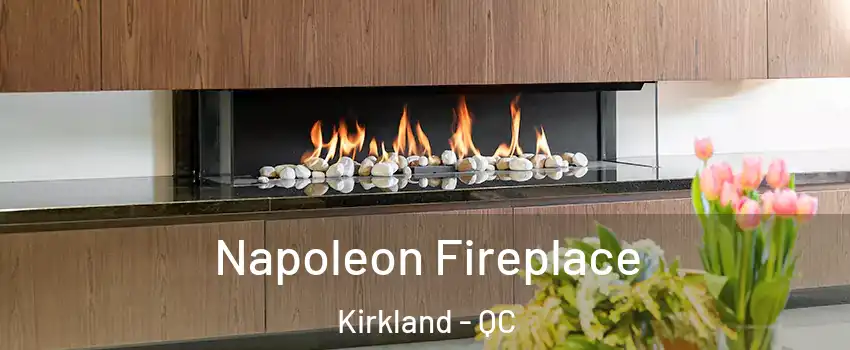  Napoleon Fireplace Kirkland - QC