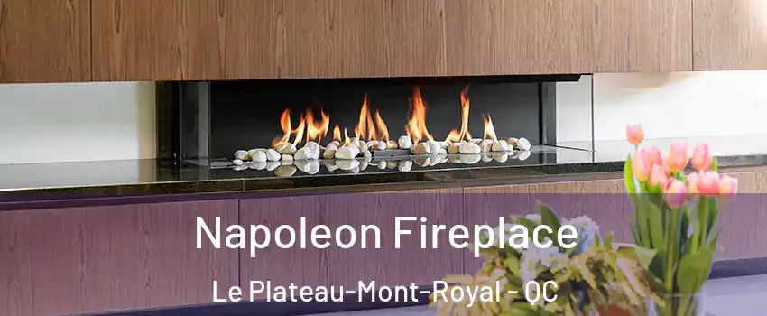  Napoleon Fireplace Le Plateau-Mont-Royal - QC
