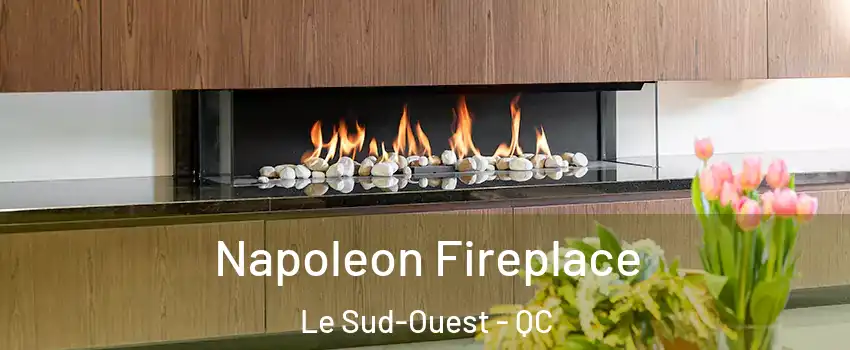  Napoleon Fireplace Le Sud-Ouest - QC