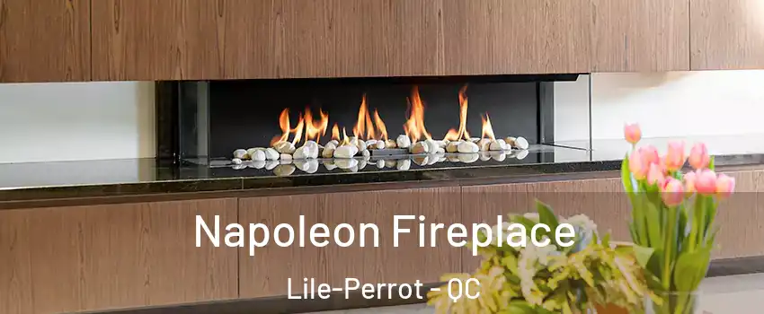  Napoleon Fireplace Lile-Perrot - QC