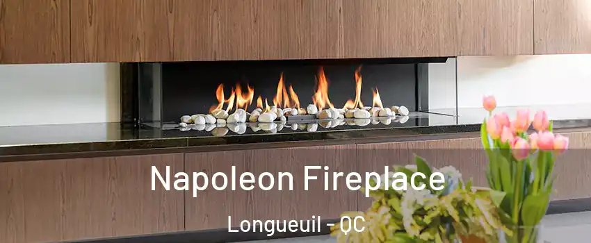  Napoleon Fireplace Longueuil - QC