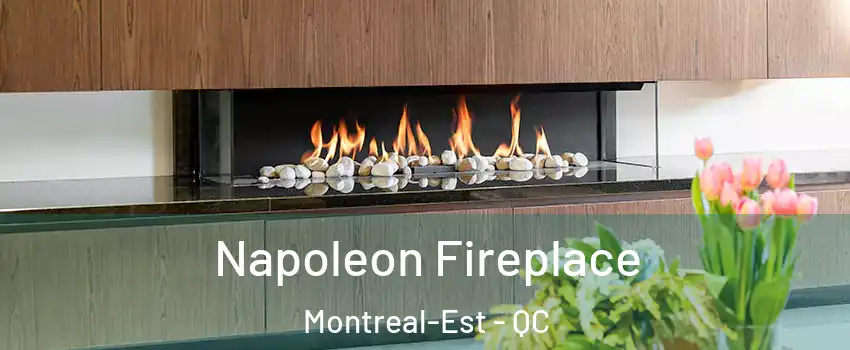  Napoleon Fireplace Montreal-Est - QC