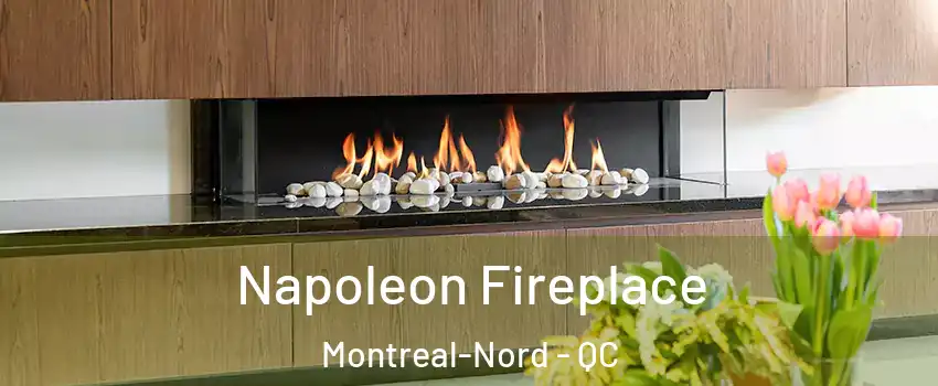  Napoleon Fireplace Montreal-Nord - QC