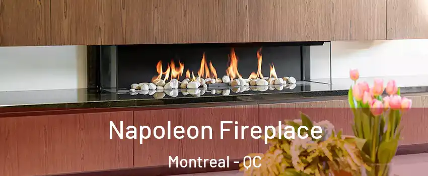  Napoleon Fireplace Montreal - QC