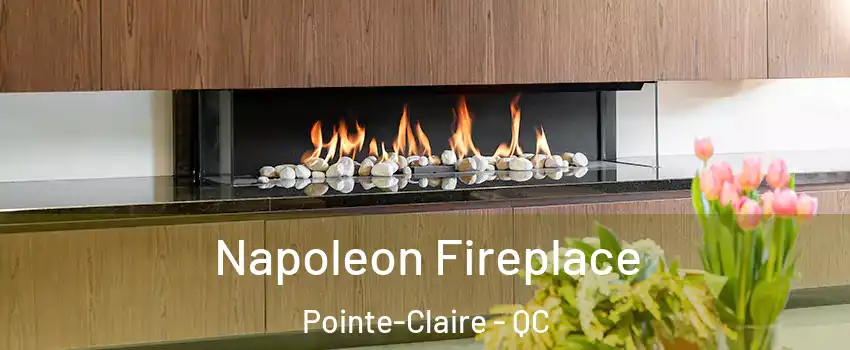  Napoleon Fireplace Pointe-Claire - QC