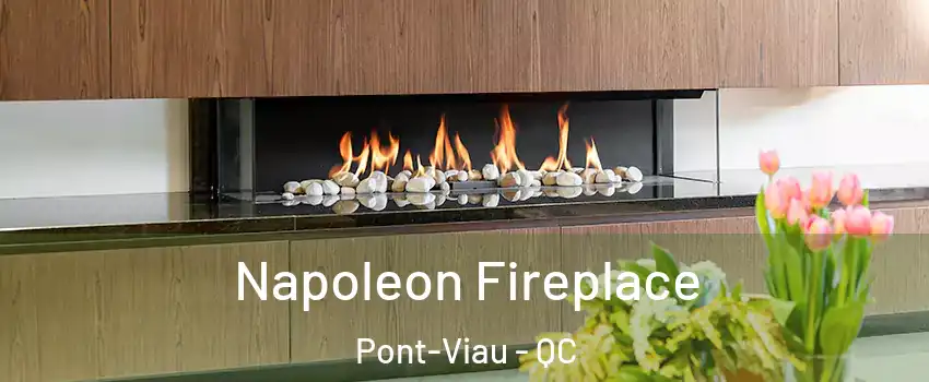  Napoleon Fireplace Pont-Viau - QC