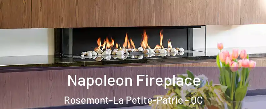  Napoleon Fireplace Rosemont-La Petite-Patrie - QC