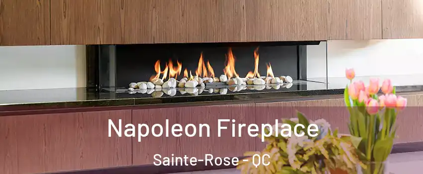  Napoleon Fireplace Sainte-Rose - QC