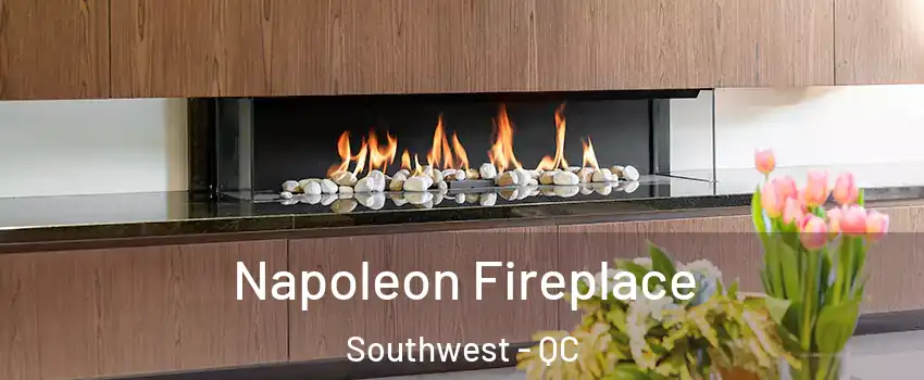  Napoleon Fireplace Southwest - QC