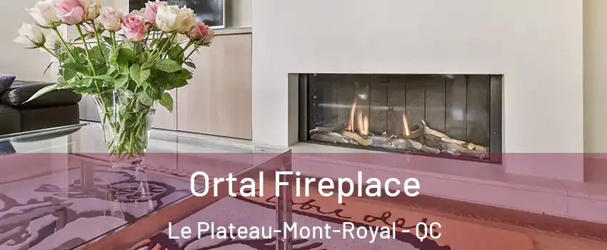  Ortal Fireplace Le Plateau-Mont-Royal - QC