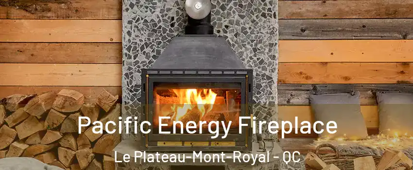  Pacific Energy Fireplace Le Plateau-Mont-Royal - QC