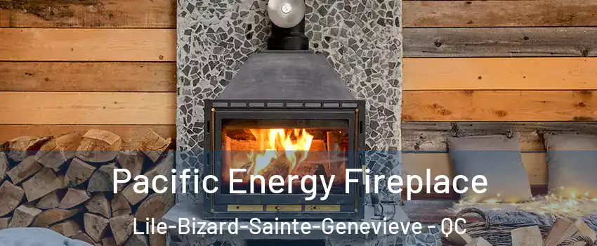  Pacific Energy Fireplace Lile-Bizard-Sainte-Genevieve - QC