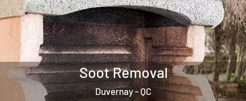  Soot Removal Duvernay - QC