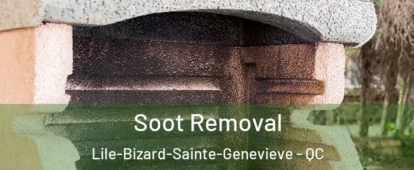  Soot Removal Lile-Bizard-Sainte-Genevieve - QC