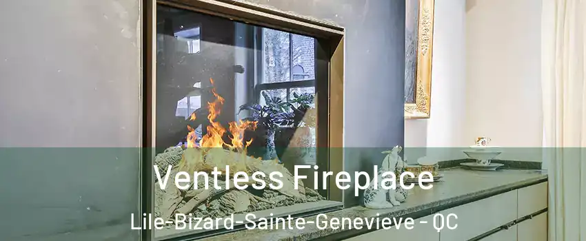  Ventless Fireplace Lile-Bizard-Sainte-Genevieve - QC